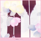 女性浴衣 レディース浴衣 浴衣 | Ainokajitsu | 詳細画像4 