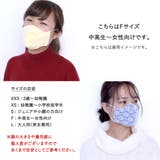 布マスク 大人マスク 舟形 | Ainokajitsu | 詳細画像6