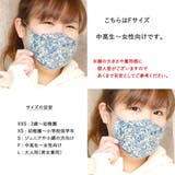 布マスク 大人マスク 舟形 | Ainokajitsu | 詳細画像5