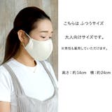 布マスク 大人マスク 立体 ベンクール 大人 都知事 ひんやり さらさら | Ainokajitsu | 詳細画像4