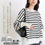 袖ボタンやわらかストレッチボーダーニットプルオーバー | FUNNY COMPANY＋  | 詳細画像1 