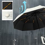 カラビナ付き10本骨 大判 晴雨兼用 | SLENDER | 詳細画像5 