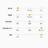 クロシェレースショートシャツ レース ショート丈 | Ada. | 詳細画像59 