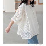 n'OrLABELシアー切替シャーリングドルマンカットソー | osharewalker | 詳細画像9 