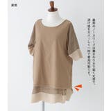 n'OrLABEL配色シフォンレイヤードトップス  | osharewalker | 詳細画像5 