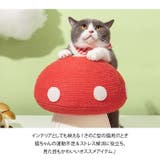 猫 つめとぎ 爪とぎ | REAL STYLE | 詳細画像3