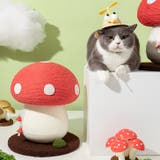 猫 つめとぎ 爪とぎ | REAL STYLE | 詳細画像5