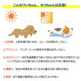 クールマット 犬 猫 | REAL STYLE | 詳細画像4
