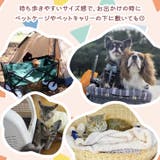 ブランケット ペット用 犬 | REAL STYLE | 詳細画像6 