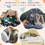 ペットマット ベッド クッション | REAL STYLE | 詳細画像12