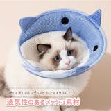 エリザベスカラー 猫 犬 | REAL STYLE | 詳細画像6