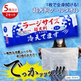 ボディシート 汗拭きシート 冷感 | REAL STYLE | 詳細画像2