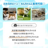 クールベスト 犬 犬用 | REAL STYLE | 詳細画像4