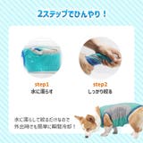 クールベスト 犬 犬用 | REAL STYLE | 詳細画像5