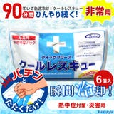 急速冷却パック 保冷剤 6個入り | REAL STYLE | 詳細画像1