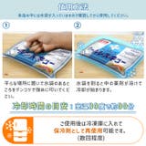 急速冷却パック 保冷剤 6個入り | REAL STYLE | 詳細画像6