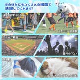 クールパッド 背中 冷やす | REAL STYLE | 詳細画像13