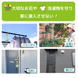 カメムシ 対策 グッズ | REAL STYLE | 詳細画像4 
