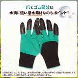 ガーデングローブ 園芸用手袋 ガーデニング | REAL STYLE | 詳細画像5