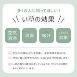 スリッパ 室内 夏 | REAL STYLE | 詳細画像6 