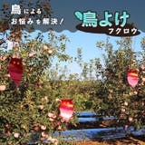 鳥よけグッズ フクロウ 防鳥 | REAL STYLE | 詳細画像3 