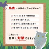 鳥よけグッズ フクロウ 防鳥 | REAL STYLE | 詳細画像4 