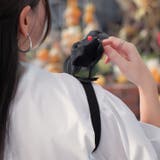 ハロウィン コスプレ 衣装 | REAL STYLE | 詳細画像7 