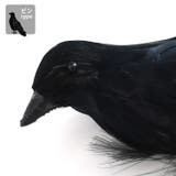 ハロウィン コスプレ 衣装 | REAL STYLE | 詳細画像8 