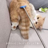 孫の手 伸縮 ペット用品 | REAL STYLE | 詳細画像5 