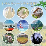 カマキリ 虫除け 虫よけ | REAL STYLE | 詳細画像6 