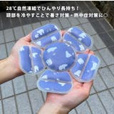 ヘッドクール 帽子用 冷却シート | REAL STYLE | 詳細画像4 