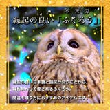 財布 レディース 二つ折り | REAL STYLE | 詳細画像4