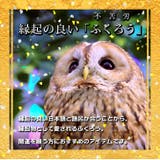 長財布 レディース 大容量 | REAL STYLE | 詳細画像4
