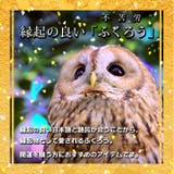 長財布 レディース 大容量 | REAL STYLE | 詳細画像4