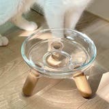 クリア | フードボウル 猫 犬 | REAL STYLE