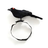 ベルトタイプ | ハロウィン コスプレ 衣装 | REAL STYLE