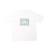 リップル×グリーン | Tシャツ レディース 半袖 | REAL STYLE