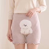 ビションフリーゼピンク | 腹巻きパンツ レディース 腹巻き | REAL STYLE