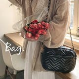 ミニショルダーバッグ レディース バッグ | REAL STYLE | 詳細画像2 