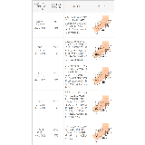 バレエシューズ 履きやすい レディース | welleg | 詳細画像32