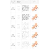 ビットローファー レディース 幅広 | welleg | 詳細画像31 