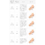 パンプス 痛くない レディース | welleg | 詳細画像21 