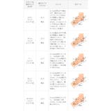 パンプス 走れる 履きやすい | welleg | 詳細画像21 