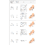 パンプス 走れる レディース | welleg | 詳細画像18 