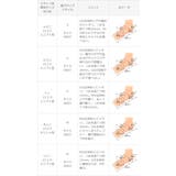 ポインテッドトゥ ローヒール サイドゴア | welleg | 詳細画像24 