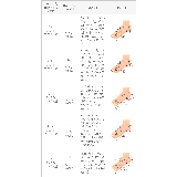 ブーティ アンクル レディース | welleg | 詳細画像19 