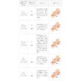 フットカバー 脱げない 超極浅 | welleg | 詳細画像16 