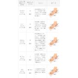 パンプス 痛くない 走れる | welleg | 詳細画像20 