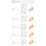 パンプス 走れる ストラップ | welleg | 詳細画像22 