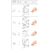 パンプス 痛くない 歩きやすい | welleg | 詳細画像24
